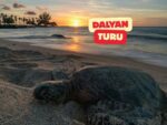 Bodrum’dan DALYAN Turu