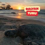 Bodrum’dan DALYAN Turu