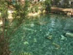 Bodrum’dan PAMUKKALE Turu - Görsel 5