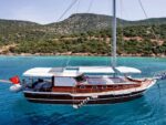 Pureart Boat 2 | Muhteşem Bodrum Koylarında Yüzün - Görsel 2