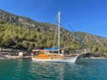 Pureart Boat 3 | 10 Kişilik Harika Tekne