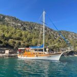 Pureart Boat 3 | 10 Kişilik Harika Tekne