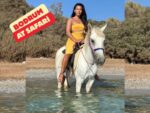 Bodrum Günlük At Safari Turu