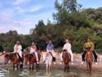 Bodrum Günlük At Safari Turu - Görsel 3
