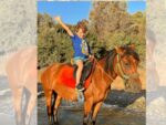 Bodrum Günlük At Safari Turu - Görsel 5