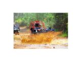 Bodrum Günlük Atv Safari Turu - Görsel 14