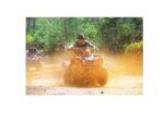 Bodrum Günlük Atv Safari Turu - Görsel 3