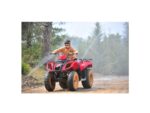 Bodrum Günlük Atv Safari Turu - Görsel 10